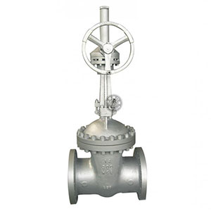 DZ541H���X݆�͜��l�y