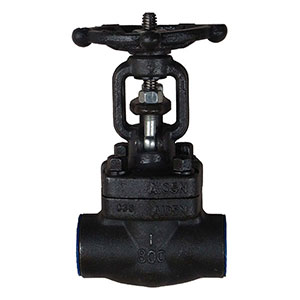 Z11Y/Z61Y���l�y