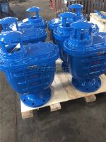 CARX復(fù)合式排氣閥